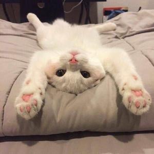 分开旅行（Cover：黄立行/刘若英）