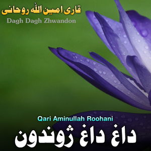Dagh Dagh Zhwandon
