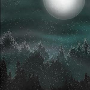 Winter Wraith