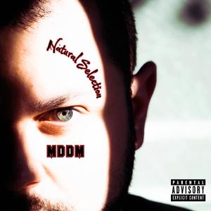 Heist (feat. Daniel Black)