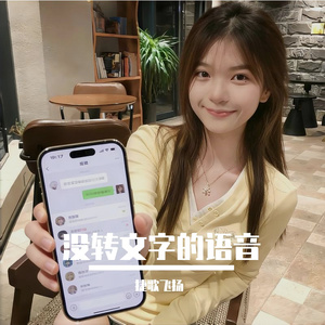 没转文字的语音