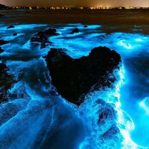 泪汪汪(cover.YangYang/Aioz）