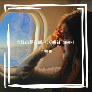火红的萨日朗（DJ晓锋 remix）