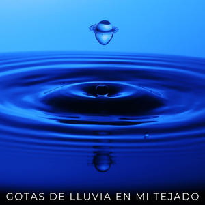 Meditación Con Lluvia