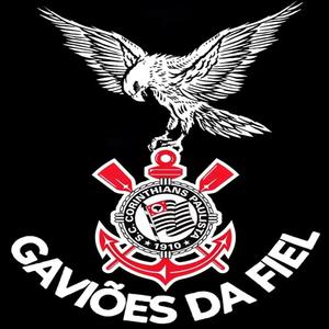 GAVIÕES O BONDE DOS DE PRETO