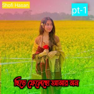 ছিড়ে ফেলেছো আমার মন