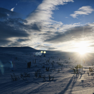 20多岁喜欢的你