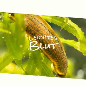 Leichtes Blut
