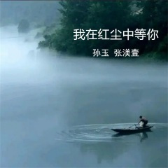 我在红尘中等你