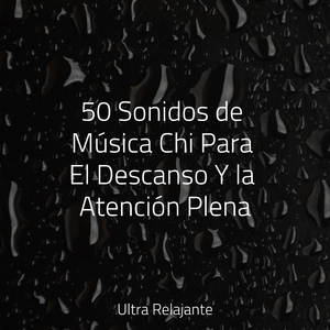 Bosque Iluminado Por La Luna
