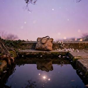 星下重逢