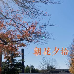 朝花夕拾 2021demo