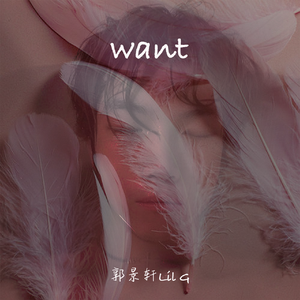 想（Want）