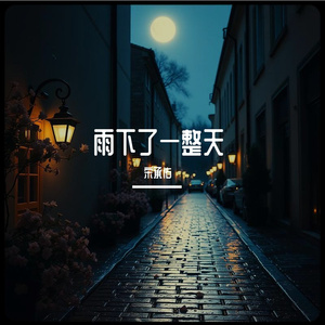 雨下了一整天