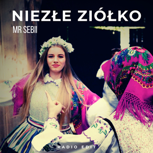 Niezłe Ziółko (Radio Edit)