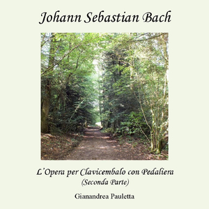 Fantasia (Concerto) in Sol Maggiore, BWV 571: I. Allegro