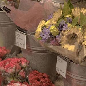 如果所爱隔山海