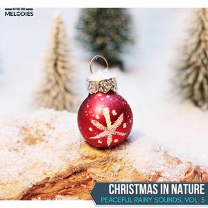 Boozing with Night Crickets