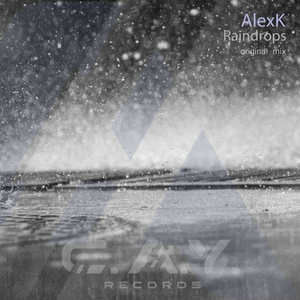Raindrops (Original Mix)