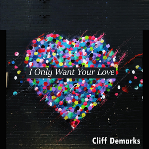 I Only Want Your Love