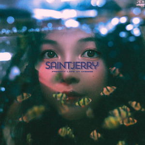 流星雨 (feat. HANWAVE_) (Celebration Mix)