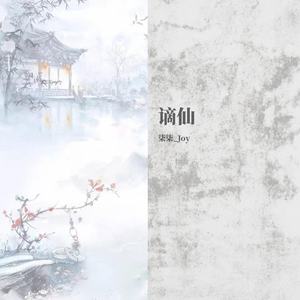 谪仙（抖音DJ版）（翻自 叶里）