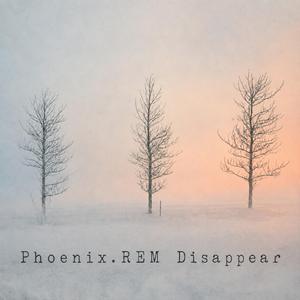 Disappear (Acoustic)