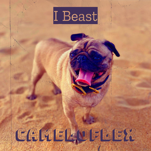 I Beast