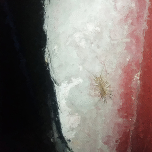 Сайлент хилл