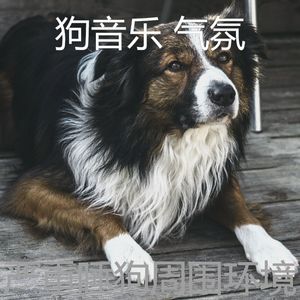 抚慰的小狗回忆