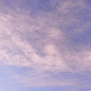 爱冬日纯净的寂静