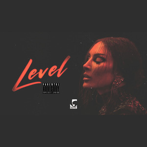 Level
