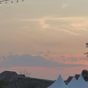 That's the Last I Said