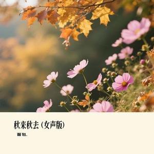 秋来秋去 (面包. Remix)