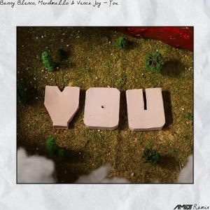 You (AMIDY Remix)