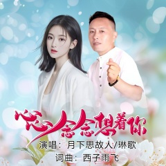 心心念念想着你 (对唱版)