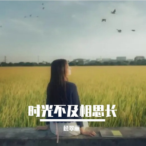 时光不及相思长