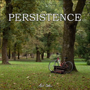 Persistence