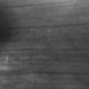 叶落三米（demo）