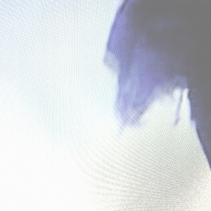 Mañana en el Abasto