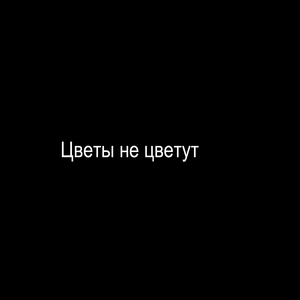 Цветы не цветут