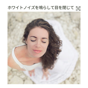 Λευκός θόρυβος καμπίνας