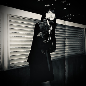 那一年夏末我去了阳光之城