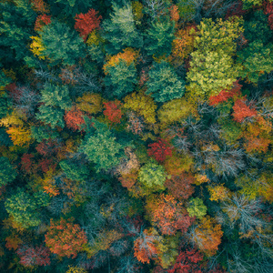 Meditation Field Of Essence