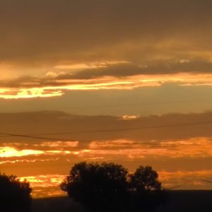 追（男女版）.mp3