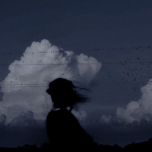 Heartbeat of the Soul-Melodies That Make Us Whole.