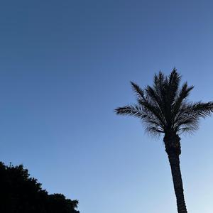 Sky's the limit (feat. L!TEN & nzo)