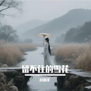 留不住的雪花
