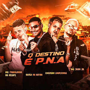 O Destino É P.N.A.