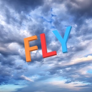 Fly
